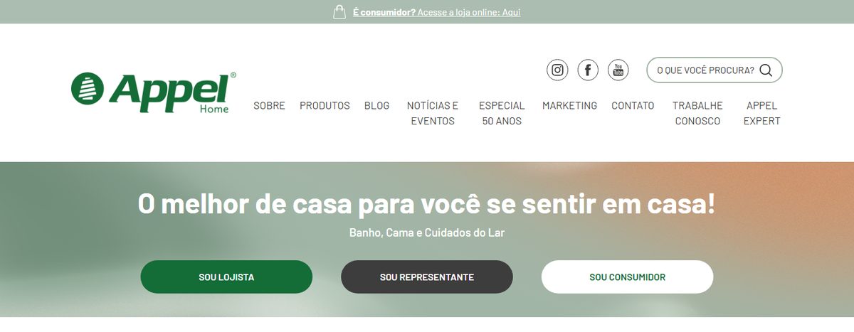 Site B2B da Appel Home